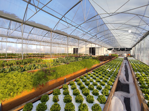 Ferme Aquaponique du Pays de Gex