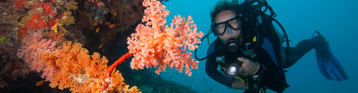 Safe Diving - Thumbnail