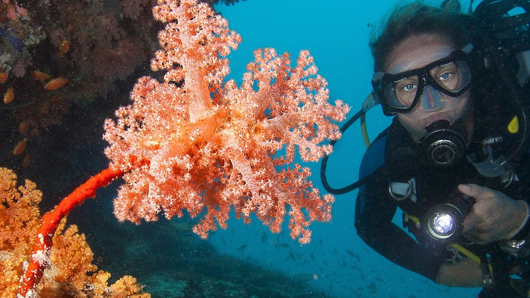 Safe Diving Duikwinkel in Eindhoven