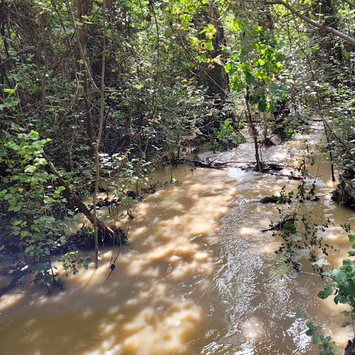 Ribera del río Valtodano - Thumbnail