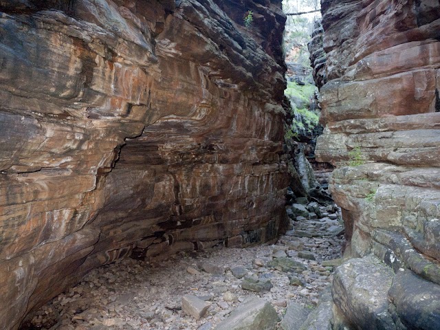 Alligator Gorge