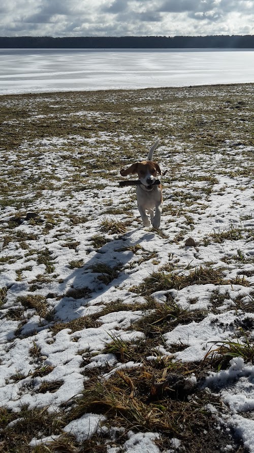 Samylų poilsiavietė