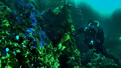 Photos of Escuela de Buceo Pleamarsub