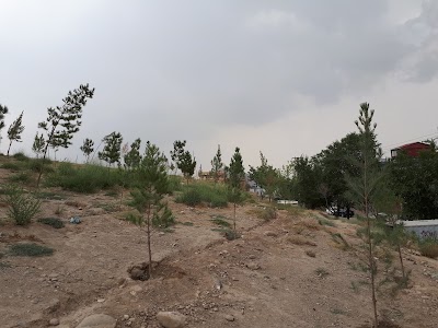 Photos of Rahmatabad Park