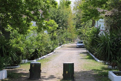 Photos of Segol Motel