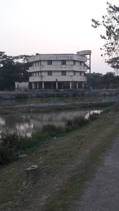 Photos of Grameen Bank Koraibari Branch