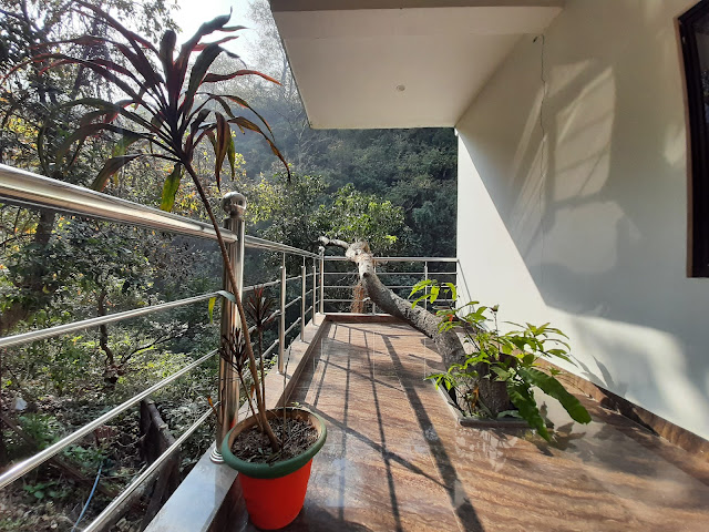 Pyramid Cafe & Guest House by null