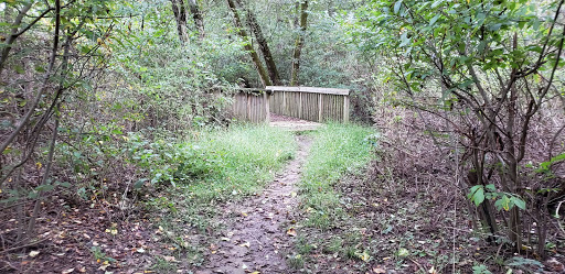Bridge to Bridge Trail - Thumbnail