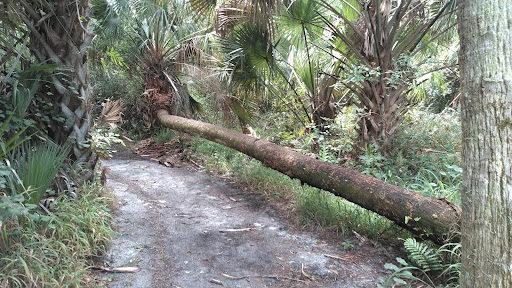 Paleo Hammock Preserve - Thumbnail