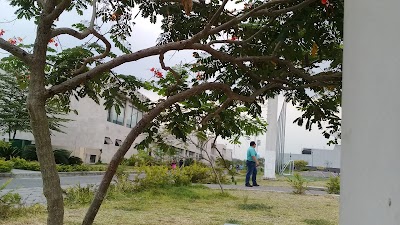 Photos of Alternas courts Stadium - Samanes