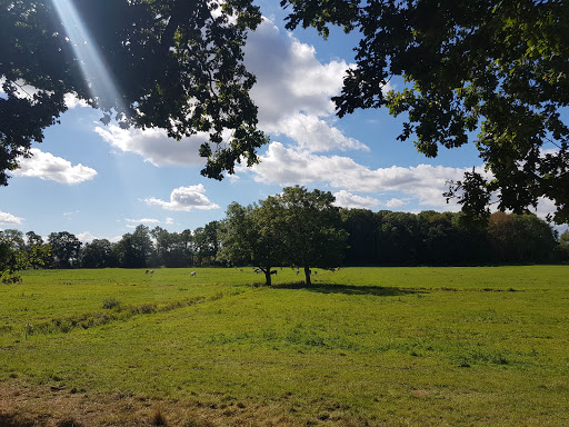 Strand-Parkplatz Brook - Thumbnail