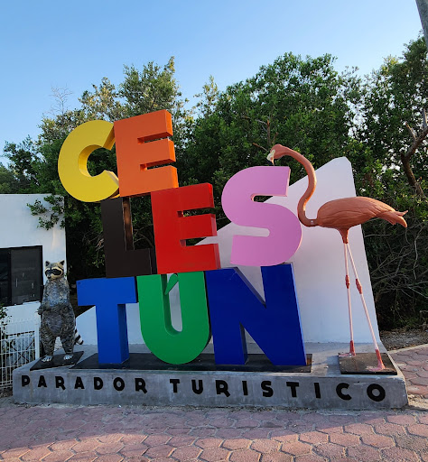 Letras Celestún - Thumbnail