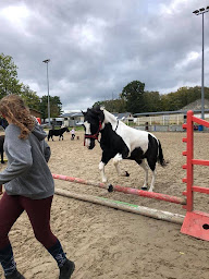 Photo n°17 de Centre équestre du château à Verneuil-en-Halatte (Centre équestre)