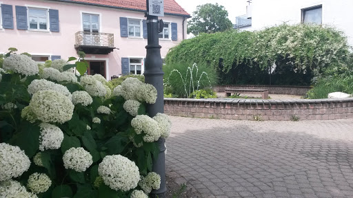 Stadtbücherei Ehingen - Visual