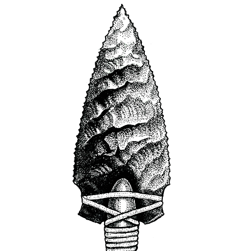 Roots School - Thumbnail
