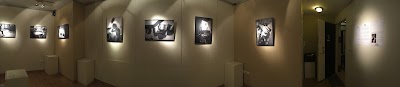 Photos of Shalman Art Gallery