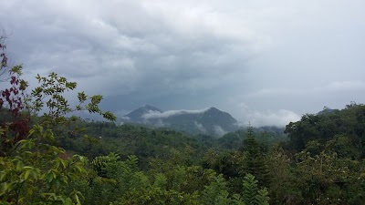 Photos of SINHARAJA HOLIDAY BUNGALOW