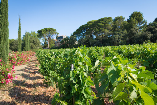 Photo de Château Fortia