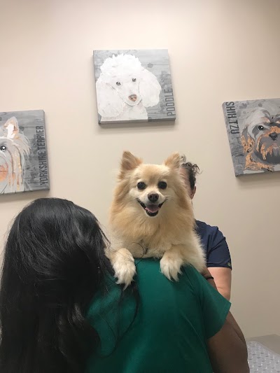 Petvacx Animal Hospital