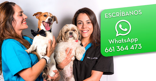 Hospital Veterinario Privet Villaviciosa