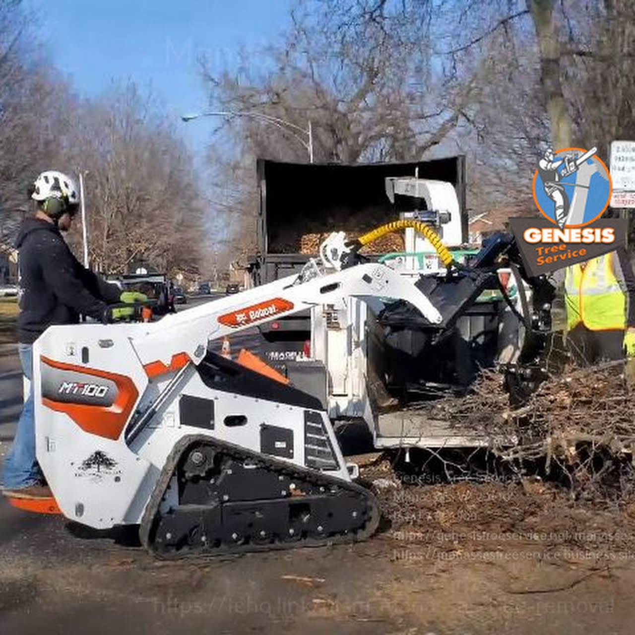 Tree Stump Grinding FAQs - Barts Tree Service