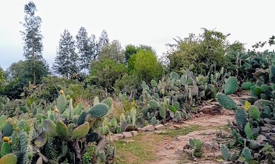 Photos of Agoro Lodge