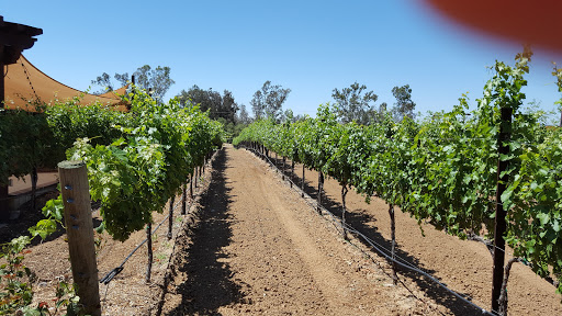 Bentwood Farm