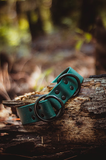 Harbor Hound Co. - Visual