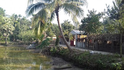 Photos of Aniq's Pond