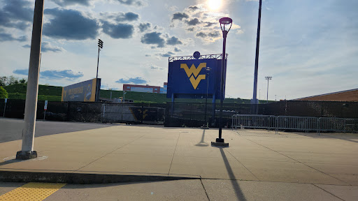 West Virginia Black Bears - Thumbnail