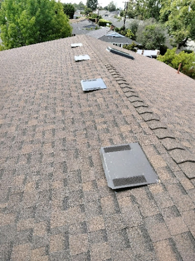 bold eagle roofing inc