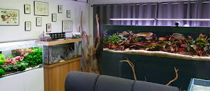 Photo n°24 de Aquaplante à Sartrouville (Magasin d'articles d'aménagement aquatique du jardin)