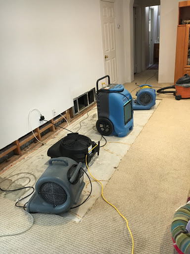 Professional cleaner working on a flooded basement cleanup.