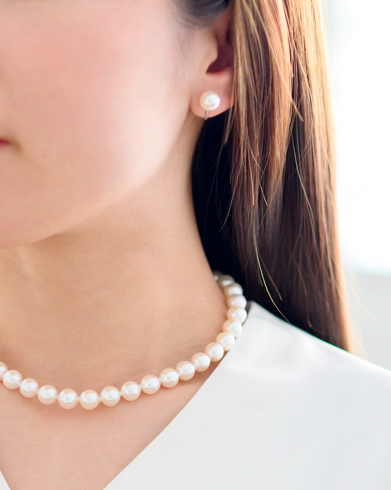 エステール 上磯店