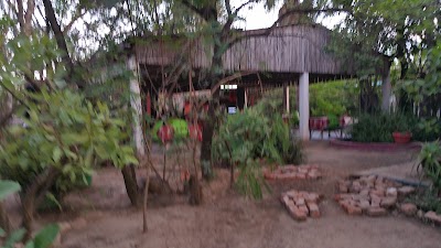 Photos of La Katangaise Restaurant