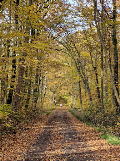 Kleiner Gleichberg - Visual
