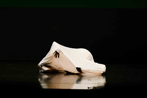 Centrodanza Isadora Gallery - Italy