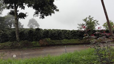 Photos of Polideportivo La Palma