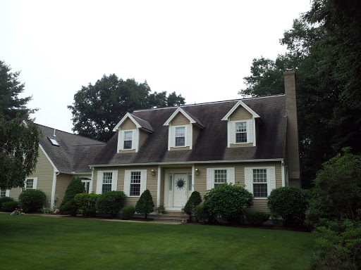 Shingle Brite - Visual