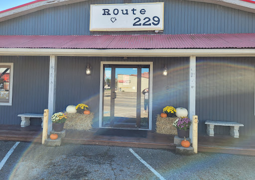 Route 229 - Visual