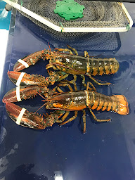 Photo n°88 de Le Tournesol à Clermont-l'Hérault (Restaurant français)