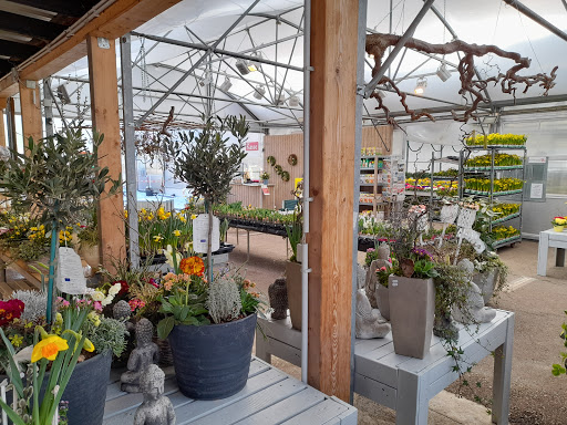Blumen Eber Gallery - Germany