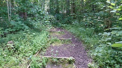 Photos of Heimtali &otilde;pperajad