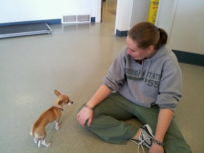 Photos of Town & Country Animal Hospital, Inc.