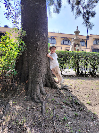 Jardin del Arte de Tepotzotlán, A.C. - Thumbnail