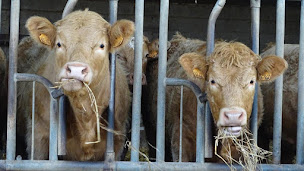 Photo n°7 de À la ferme de Thilloy à Ligny-Thilloy (Chambre d'hôtes)