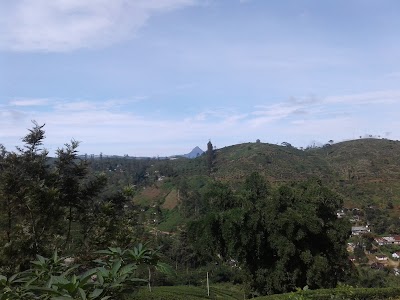 Photos of Hatton Tea Villa