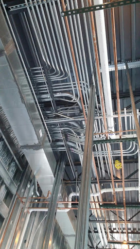 Lite Electric - Visual