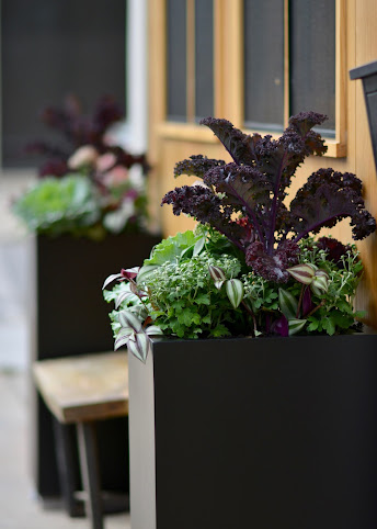 Necessary & Sufficient Coffee by null