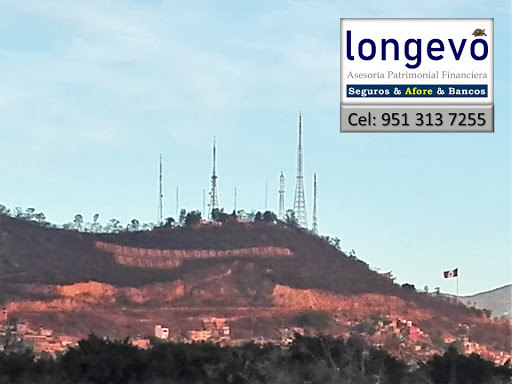 Longevo.apf - Visual